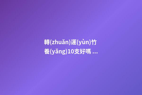 轉(zhuǎn)運(yùn)竹養(yǎng)10支好嗎 9支好還是10支好